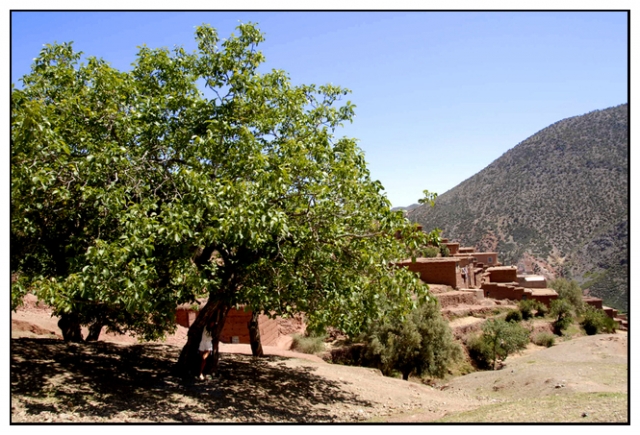 toubkal 57 kim.jpg